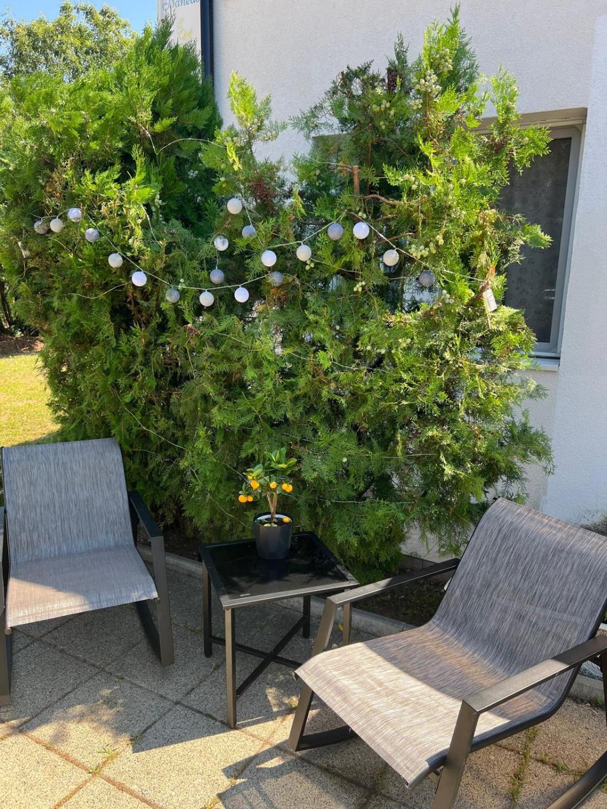 B&B Maria Bucharest Exterior photo